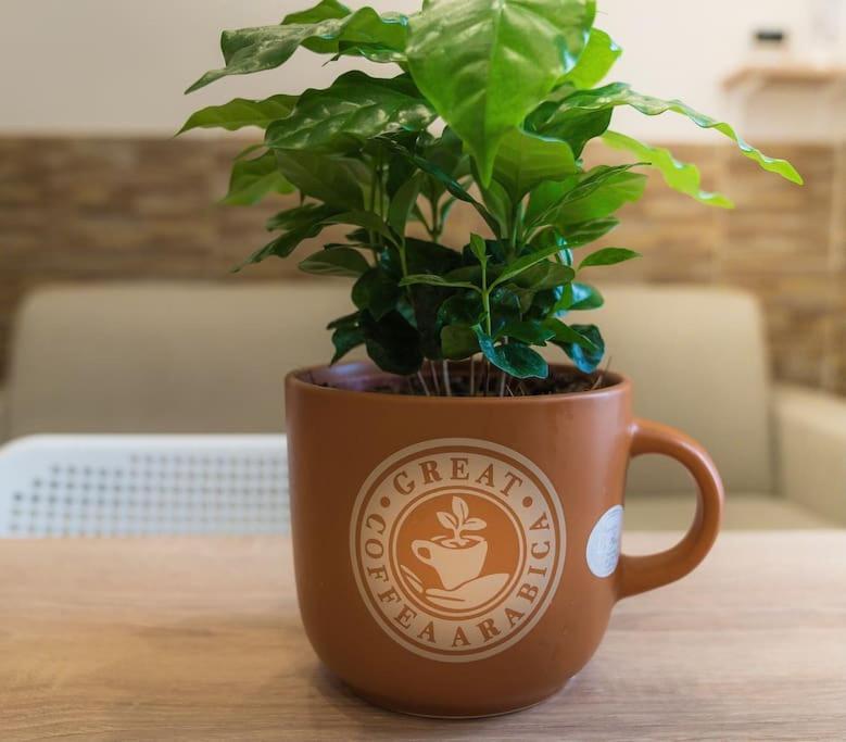 ナポリIl Tempo Di Un Caffeアパートメント エクステリア 写真